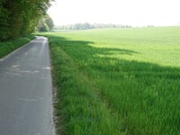 Limitenweg von Süggerath
