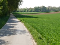 Limitenweg von Süggerath