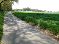Limitenweg von Süggerath