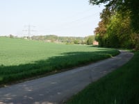 Limitenweg von Süggerath