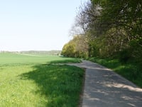 Limitenweg von Süggerath