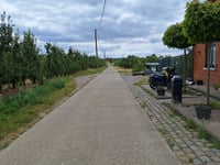 Lindebeek por Koningsstraat