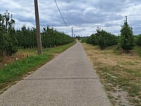 Lindebeek por Koningsstraat