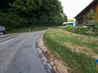 Linden from Zofingen