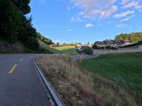 Linden from Zofingen