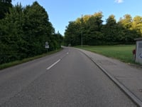 Linden from Zofingen