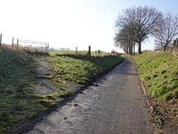 Lindenweg von Nagelbeek