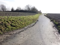 Lindenweg von Nagelbeek