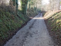 Lindenweg von Nagelbeek