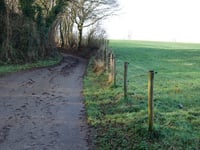 Lindenweg von Nagelbeek