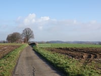 Lindenweg von Nagelbeek