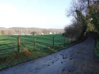 Lindenweg von Nagelbeek