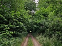 Lindonk über Korteweg-Noord