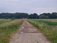 Lindonk über Korteweg-Noord
