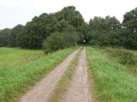 Lindonk über Korteweg-Noord