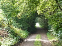 Lindonk über Korteweg-Noord
