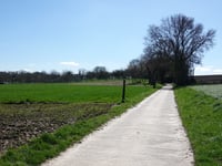 Linnerveldstraat von Martenslinde