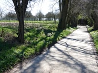 Linnerveldstraat von Martenslinde