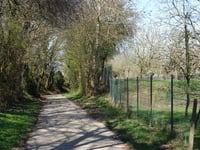 Linnerveldstraat von Martenslinde