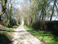 Linnerveldstraat von Martenslinde