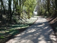 Linnerveldstraat von Martenslinde