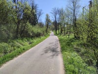 Lipowa