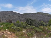 Llacuna von l'Orxa