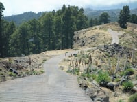 Llano de Las Animas von Puerto de Puntagorda