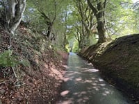 Llanover Wall
