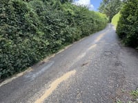 Llanover Wall