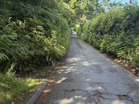 Llanover Wall