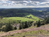 Llanwonno z Farndale