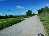 Loghi from San Giovanni d'Asso
