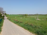 Loherhof über Nikolaus-Becker-Strasse