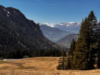 Lombachalp von Interlaken