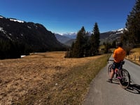 Lombachalp von Interlaken