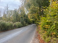 Longdown Hill da Askett