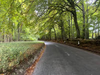 Longdown Hill from Chequers