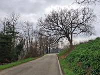 Longiano depuis Crocetta