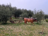 Longiano via Via Balignano