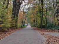 Lonnekerberg von Lonneker