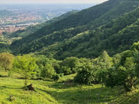Lonno da Alzano Lombardo