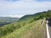 Lonzenberg von Kröv