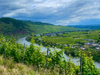 Lonzenberg from Ürzig