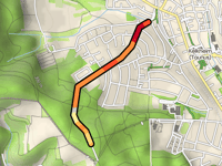 Lorsbacher Kopf von Kelkheim