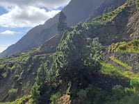 Mirador de Los Brecitos über Calle Hacienda del Cura