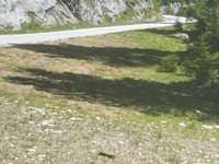 Loser Alm von Altaussee