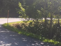 Loser Alm von Altaussee