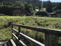 Loser Alm von Altaussee