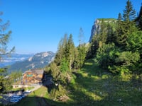Loser Alm von Altaussee